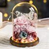 Eternal Rose Glass Dome Light Decor Eternal Rose Glass Dome Light Decor