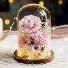 Eternal Rose Glass Dome Light Decor Eternal Rose Glass Dome Light Decor