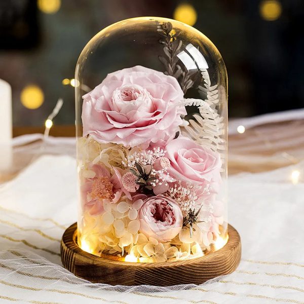 Eternal Rose Glass Dome Light Decor Eternal Rose Glass Dome Light Decor