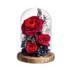 Eternal Rose Glass Dome Light Decor Eternal Rose Glass Dome Light Decor