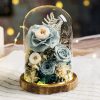 Eternal Rose Glass Dome Light Decor Eternal Rose Glass Dome Light Decor