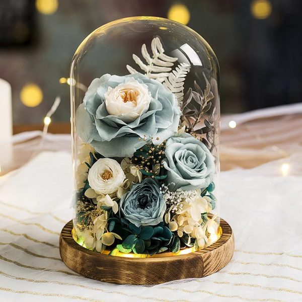 Eternal Rose Glass Dome Light Decor Eternal Rose Glass Dome Light Decor
