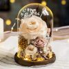 Eternal Rose Glass Dome Light Decor Eternal Rose Glass Dome Light Decor