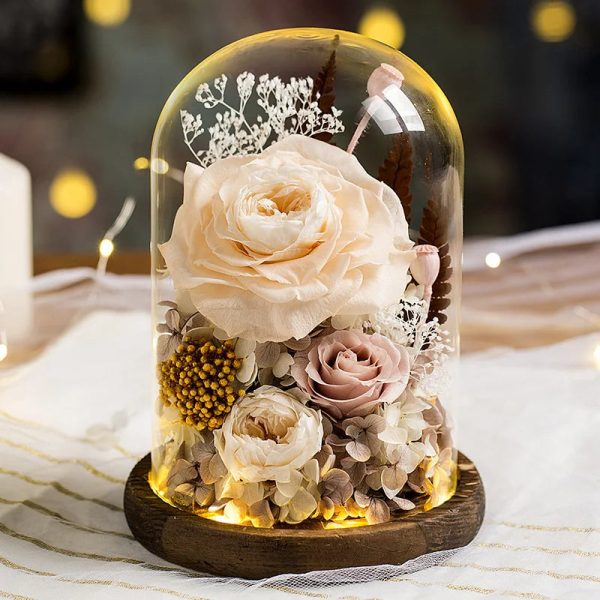 Eternal Rose Glass Dome Light Decor Eternal Rose Glass Dome Light Decor