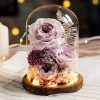 Eternal Rose Glass Dome Light Decor Eternal Rose Glass Dome Light Decor