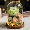 Eternal Rose Glass Dome Light Decor Eternal Rose Glass Dome Light Decor