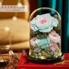 Eternal Rose Glass Dome Light Decor Eternal Rose Glass Dome Light Decor