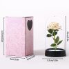 Eternal Rose in Glass Dome Handmade Artificial Flower for Gifts and Decoration