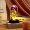 Eternal Rose in Glass Dome Handmade Artificial Flower for Gifts and Decoration