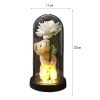 Eternal Rose in Glass Dome with Bear Gift for Special Occasions
