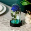 Eternal Rose in Glass Dome with LED Light – Romantic Gift for Valentine’s Day, Christmas, or Birthday Eternal Rose in Glass Dome with LED Light – Romantic Gift for Valentine’s Day, Christmas, or Birthday