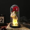 Eternal Rose in Glass Dome with LED Light – Romantic Gift for Valentine’s Day, Christmas, or Birthday Eternal Rose in Glass Dome with LED Light – Romantic Gift for Valentine’s Day, Christmas, or Birthday