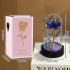 Eternal Rose in Glass Dome with LED Light – Romantic Gift for Valentine’s Day, Christmas, or Birthday Eternal Rose in Glass Dome with LED Light – Romantic Gift for Valentine’s Day, Christmas, or Birthday