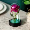 Eternal Rose in Glass Dome with LED Light – Romantic Gift for Valentine’s Day, Christmas, or Birthday Eternal Rose in Glass Dome with LED Light – Romantic Gift for Valentine’s Day, Christmas, or Birthday