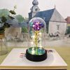Eternal Rose Lamp LED Artificial Silk Flower Creative Gift for Valentine’s Day and Mother’s Day Eternal Rose Lamp LED Artificial Silk Flower Creative Gift for Valentine’s Day and Mother’s Day