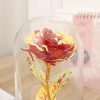 Eternal Rose LED Glass Flower Display Eternal Rose LED Glass Flower Display