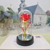 Eternal Rose LED Light Glass Dome