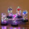 Eternal Rose LED Light Glass Dome