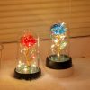 Eternal Rose LED Light Glass Dome