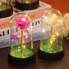 Eternal Rose LED Light Glass Dome