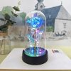 Eternal Rose LED Light Glass Dome