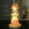 Eternal Rose LED Light in Glass Dome for Romantic Gifts Eternal Rose LED Light in Glass Dome for Romantic Gifts