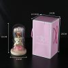 Eternal Rose LED Light in Glass Dome for Romantic Gifts Eternal Rose LED Light in Glass Dome for Romantic Gifts