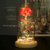 Eternal Rose LED Light in Glass Dome for Romantic Gifts Eternal Rose LED Light in Glass Dome for Romantic Gifts