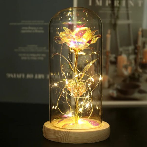Eternal Rose LED Light in Glass Dome for Romantic Gifts Eternal Rose LED Light in Glass Dome for Romantic Gifts