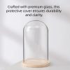 Eternal Rose LED Light in Glass Dome for Romantic Gifts Eternal Rose LED Light in Glass Dome for Romantic Gifts