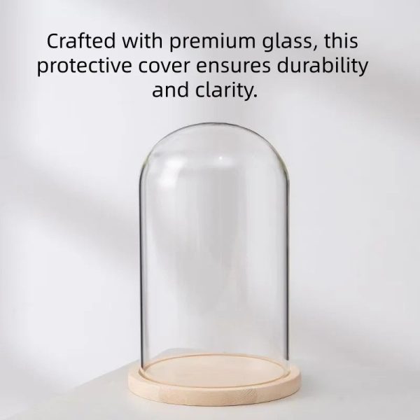 Eternal Rose LED Light in Glass Dome for Romantic Gifts Eternal Rose LED Light in Glass Dome for Romantic Gifts