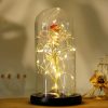 Eternal Rose LED Light in Glass Dome for Romantic Gifts Eternal Rose LED Light in Glass Dome for Romantic Gifts