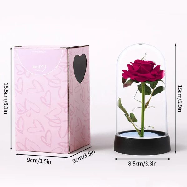 Eternal Rose LED Light in Glass Dome for Valentine's Day and Special Gifts Eternal Rose LED Light in Glass Dome for Valentine's Day and Special Gifts