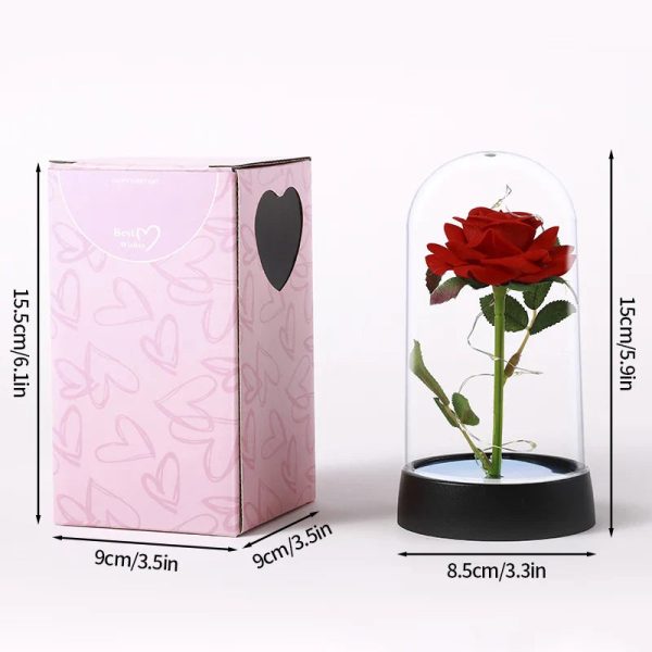 Eternal Rose LED Light in Glass Dome for Valentine's Day and Special Gifts Eternal Rose LED Light in Glass Dome for Valentine's Day and Special Gifts