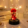 Eternal Rose LED Light in Glass Dome for Valentine's Day and Special Gifts Eternal Rose LED Light in Glass Dome for Valentine's Day and Special Gifts