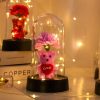 Eternal Rose LED Light in Glass Dome for Valentine's Day and Special Gifts Eternal Rose LED Light in Glass Dome for Valentine's Day and Special Gifts