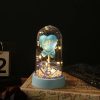Eternal Rose LED Light in Glass Dome for Valentine's Day and Special Gifts Eternal Rose LED Light in Glass Dome for Valentine's Day and Special Gifts