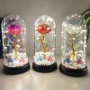 Eternal Rose LED Light in Glass Dome for Valentine's Day and Special Gifts Eternal Rose LED Light in Glass Dome for Valentine's Day and Special Gifts