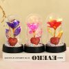 Eternal Rose LED Light in Glass Dome for Valentine's Day and Special Gifts Eternal Rose LED Light in Glass Dome for Valentine's Day and Special Gifts