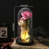 Eternal Rose LED Light with Acrylic Cover Romantic Desktop Flower Decoration Eternal Rose LED Light with Acrylic Cover Romantic Desktop Flower Decoration