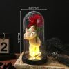 Eternal Rose LED Light with Acrylic Cover Romantic Desktop Flower Decoration Eternal Rose LED Light with Acrylic Cover Romantic Desktop Flower Decoration