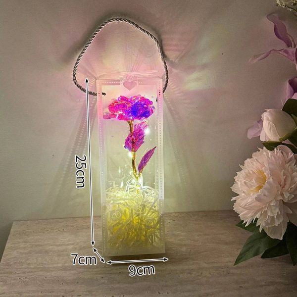 Eternal Rose LED Light with Acrylic Cover Romantic Desktop Flower Decoration Eternal Rose LED Light with Acrylic Cover Romantic Desktop Flower Decoration
