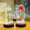 Eternal Rose LED Light with Acrylic Cover Romantic Desktop Flower Decoration Eternal Rose LED Light with Acrylic Cover Romantic Desktop Flower Decoration