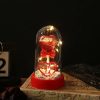 Eternal Rose LED Light with Acrylic Cover Romantic Desktop Flower Decoration Eternal Rose LED Light with Acrylic Cover Romantic Desktop Flower Decoration
