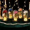 Eternal Rose LED Light with Acrylic Cover Romantic Desktop Flower Decoration Eternal Rose LED Light with Acrylic Cover Romantic Desktop Flower Decoration