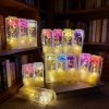 Eternal Rose LED Light with Acrylic Cover Romantic Desktop Flower Decoration Eternal Rose LED Light with Acrylic Cover Romantic Desktop Flower Decoration