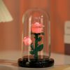 Eternal Rose Luminous Ornament for Home Decoration and Gifts Eternal Rose Luminous Ornament for Home Decoration and Gifts