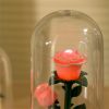 Eternal Rose Luminous Ornament for Home Decoration and Gifts Eternal Rose Luminous Ornament for Home Decoration and Gifts