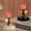 Eternal Rose Luminous Ornament for Home Decoration and Gifts Eternal Rose Luminous Ornament for Home Decoration and Gifts