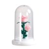 Eternal Rose Luminous Ornament for Home Decoration and Gifts Eternal Rose Luminous Ornament for Home Decoration and Gifts